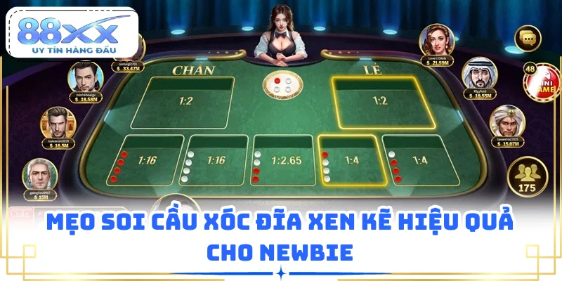 Mẹo soi cầu xóc đĩa xen kẽ hiệu quả cho newbie