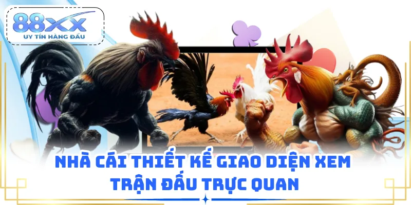 Nhà cái thiết kế giao diện xem trận đấu trực quan