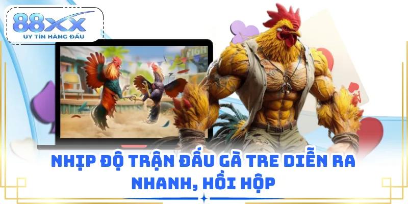Nhịp độ trận đấu gà tre diễn ra nhanh, hồi hộp